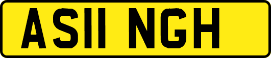 AS11NGH