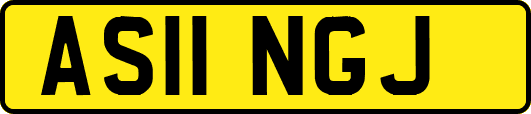 AS11NGJ