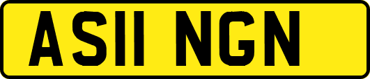 AS11NGN