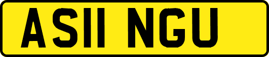 AS11NGU