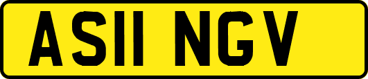 AS11NGV