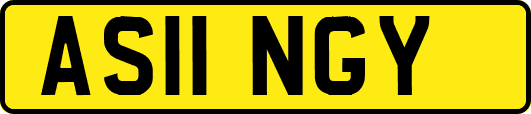 AS11NGY