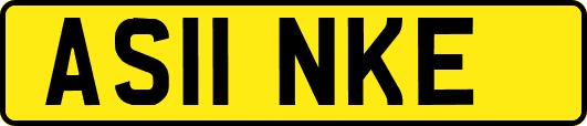 AS11NKE