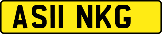 AS11NKG
