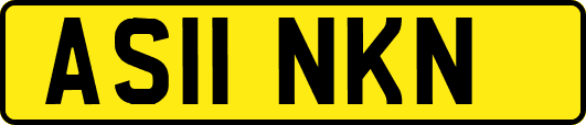AS11NKN