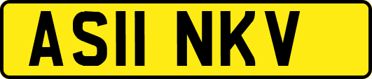 AS11NKV