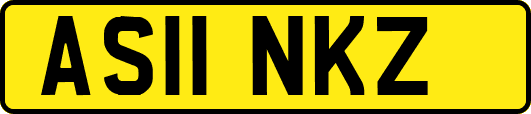 AS11NKZ