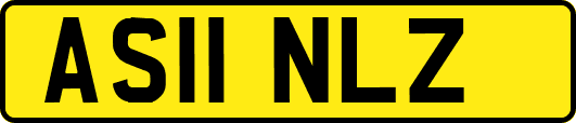 AS11NLZ