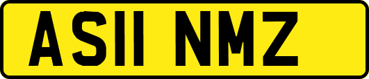 AS11NMZ