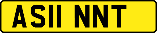 AS11NNT