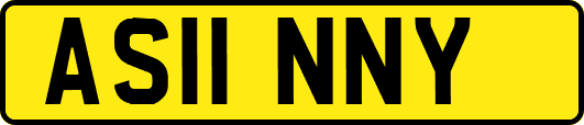 AS11NNY