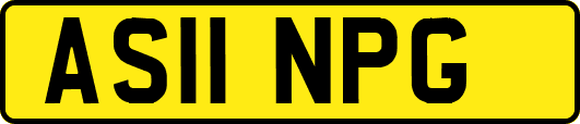 AS11NPG