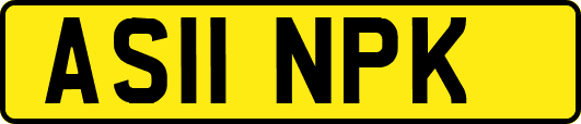 AS11NPK