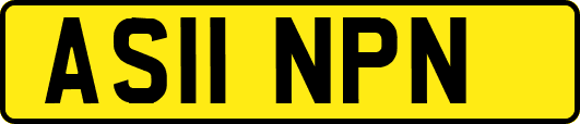AS11NPN