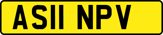 AS11NPV