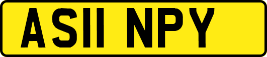 AS11NPY