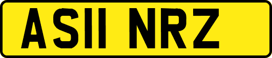 AS11NRZ