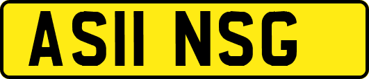 AS11NSG