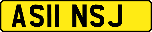 AS11NSJ