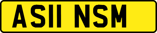 AS11NSM