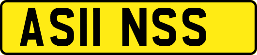 AS11NSS