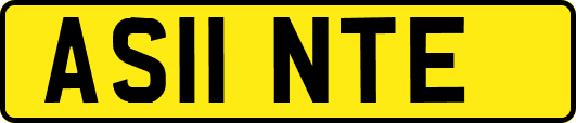 AS11NTE