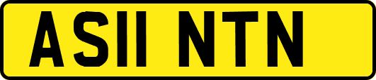 AS11NTN