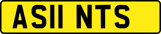 AS11NTS