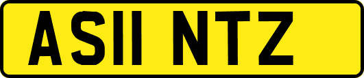 AS11NTZ