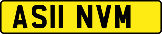 AS11NVM