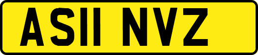 AS11NVZ