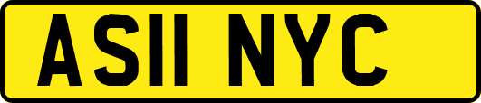 AS11NYC