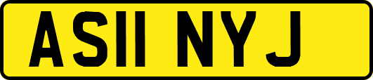 AS11NYJ