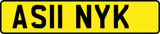 AS11NYK