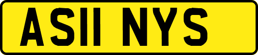 AS11NYS
