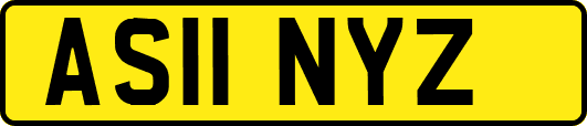 AS11NYZ