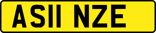 AS11NZE