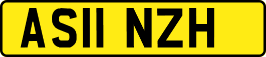 AS11NZH
