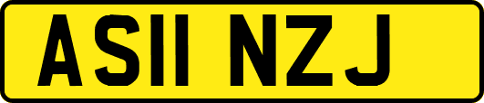 AS11NZJ