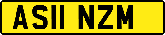 AS11NZM