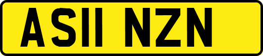 AS11NZN
