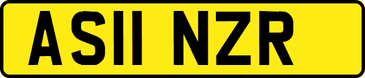 AS11NZR