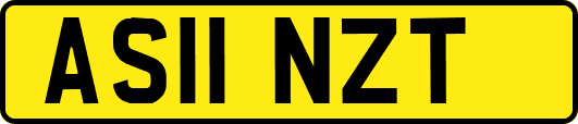 AS11NZT