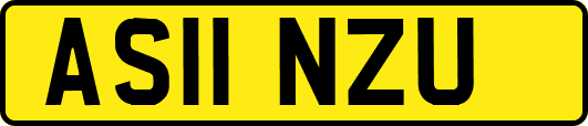 AS11NZU