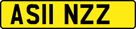 AS11NZZ