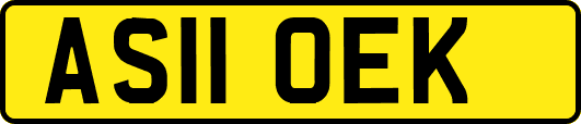 AS11OEK