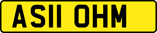AS11OHM