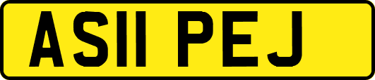AS11PEJ