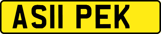 AS11PEK