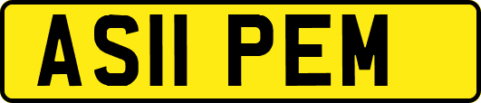 AS11PEM